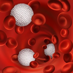 View under a microscope, blood-red blood cells & white blood cellsin a living body